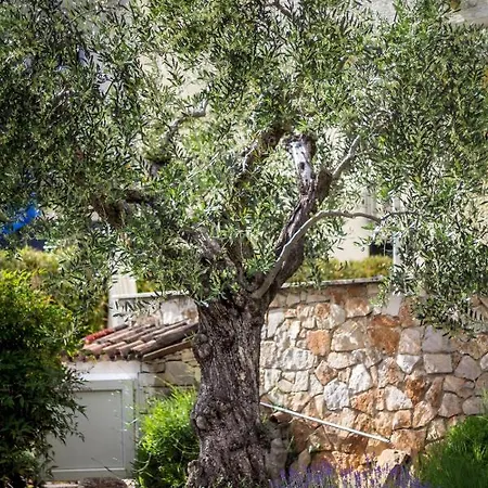 Apartments Balach Porec Exterior photo